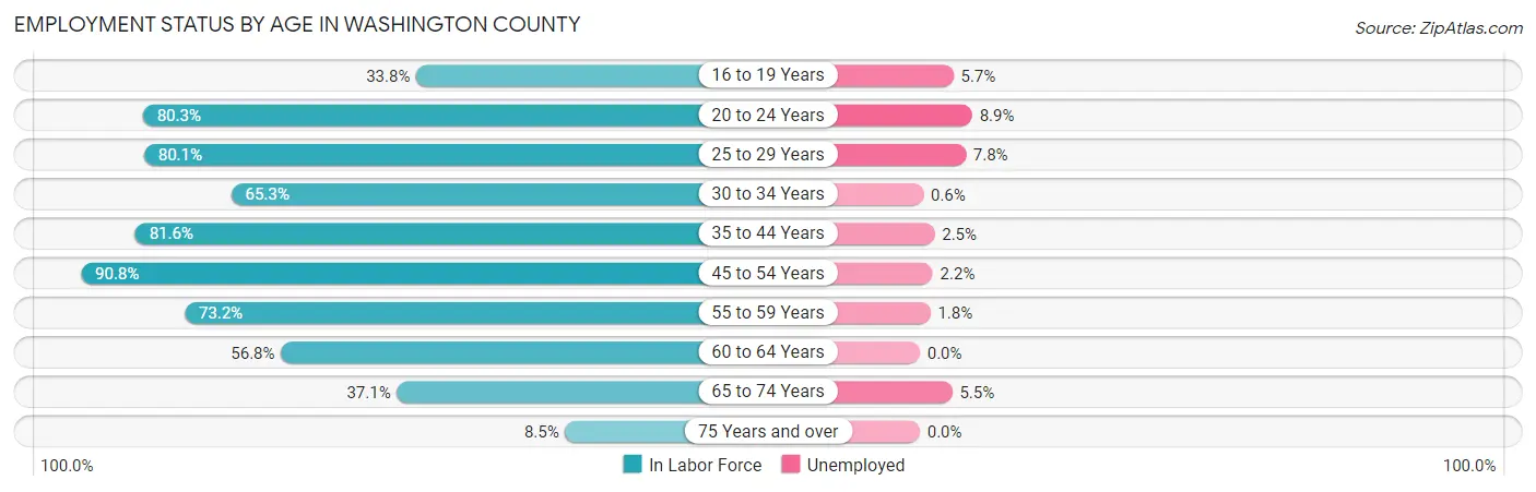 Employment Status by Age in Washington County