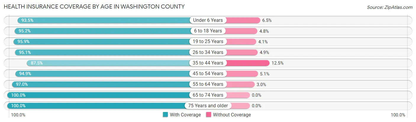 Health Insurance Coverage by Age in Washington County
