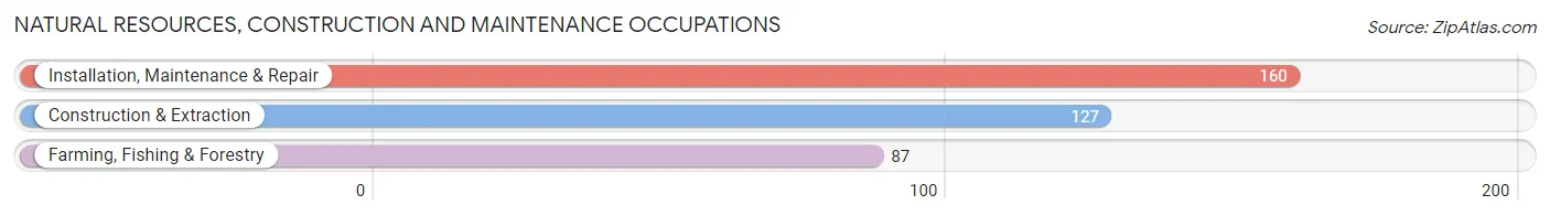 Natural Resources, Construction and Maintenance Occupations in Washington County