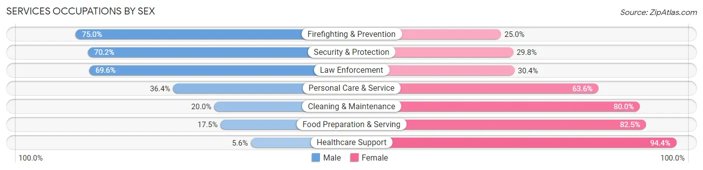 Services Occupations by Sex in Washington County