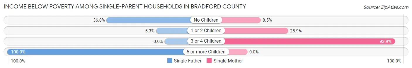 Income Below Poverty Among Single-Parent Households in Bradford County