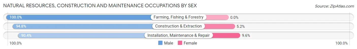 Natural Resources, Construction and Maintenance Occupations by Sex in Bradford County
