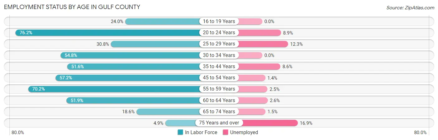 Employment Status by Age in Gulf County