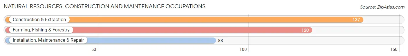 Natural Resources, Construction and Maintenance Occupations in Hamilton County
