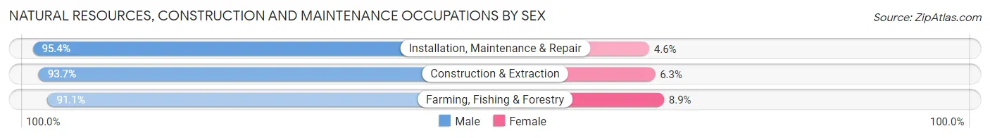 Natural Resources, Construction and Maintenance Occupations by Sex in Hernando County