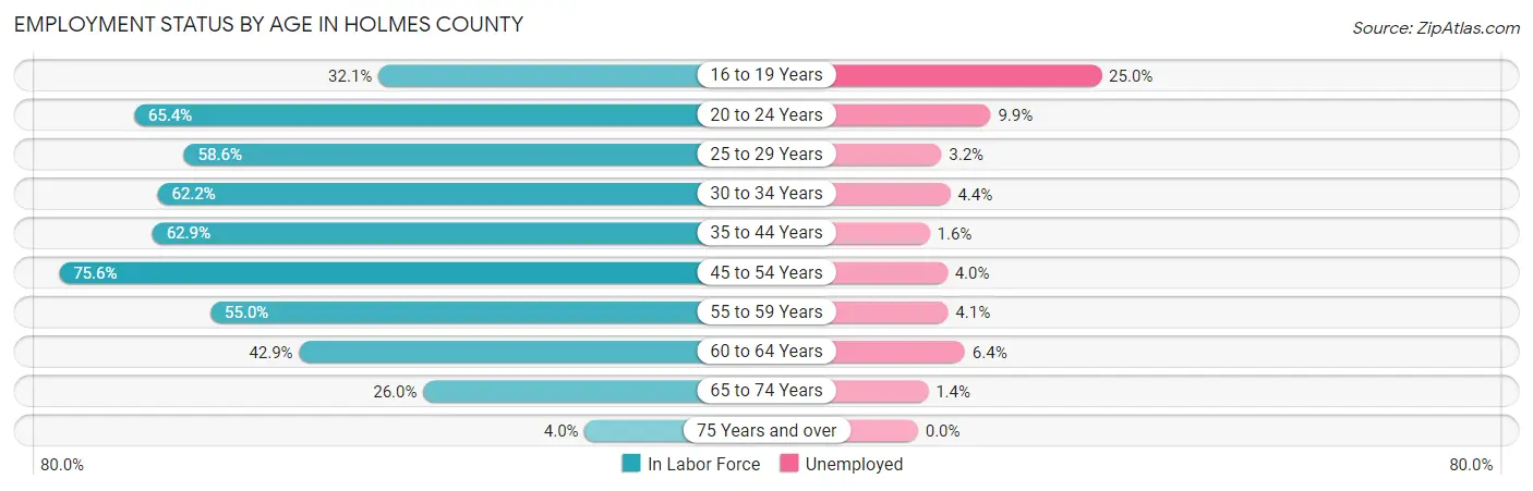Employment Status by Age in Holmes County