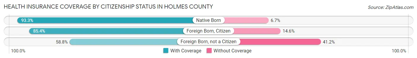 Health Insurance Coverage by Citizenship Status in Holmes County