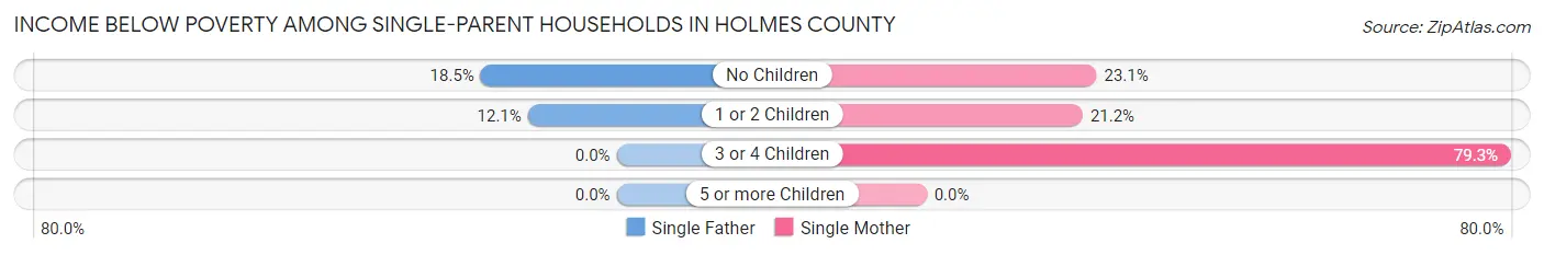 Income Below Poverty Among Single-Parent Households in Holmes County
