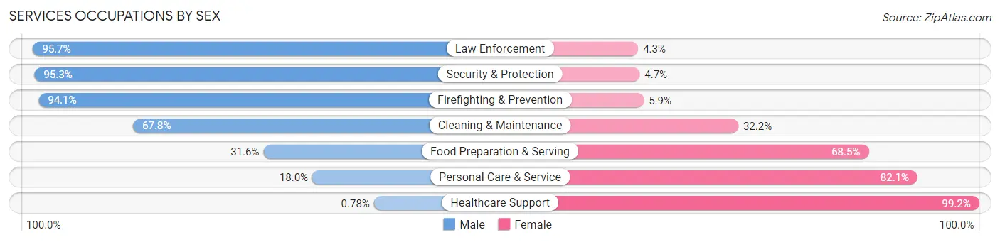Services Occupations by Sex in Holmes County