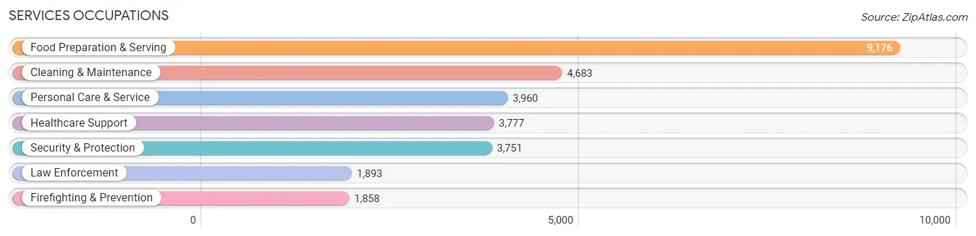 Services Occupations in Leon County