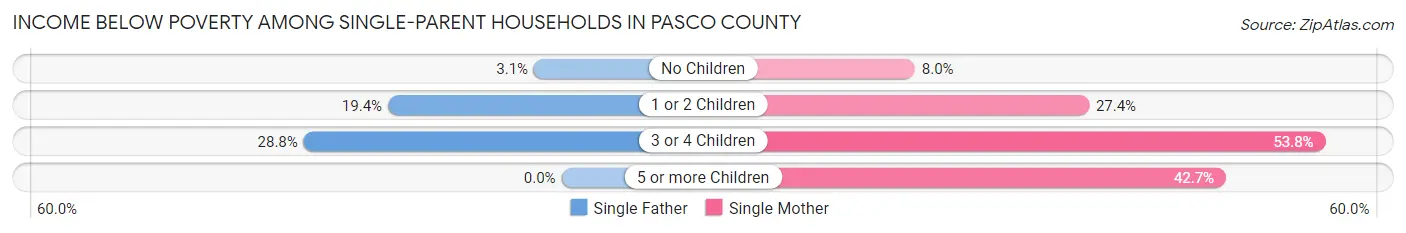 Income Below Poverty Among Single-Parent Households in Pasco County