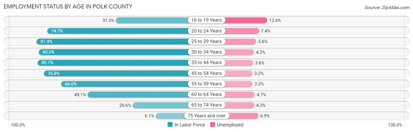 Employment Status by Age in Polk County