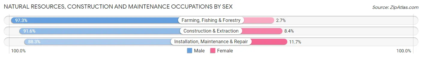 Natural Resources, Construction and Maintenance Occupations by Sex in Atkinson County