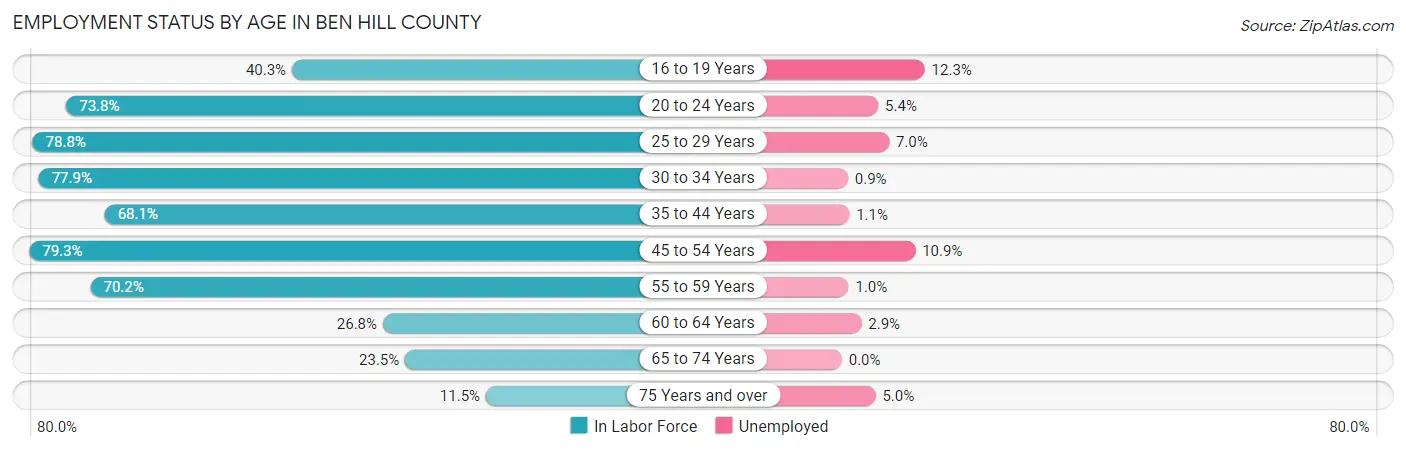 Employment Status by Age in Ben Hill County