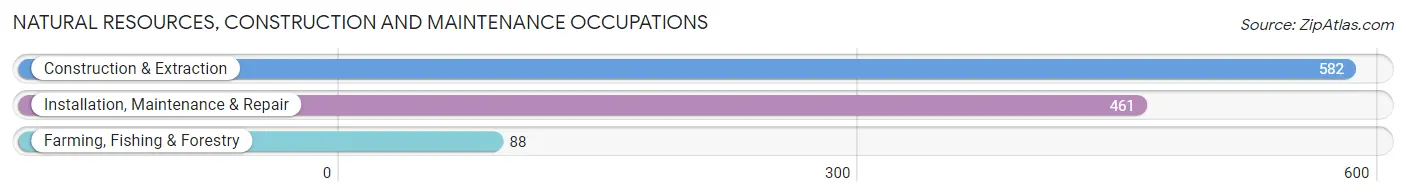 Natural Resources, Construction and Maintenance Occupations in Berrien County