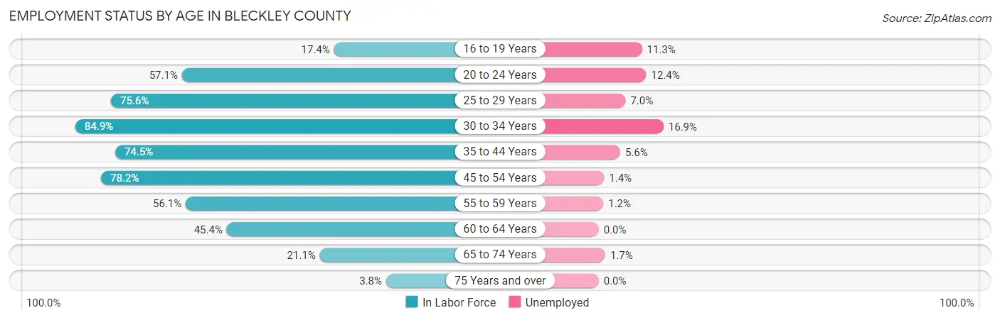 Employment Status by Age in Bleckley County