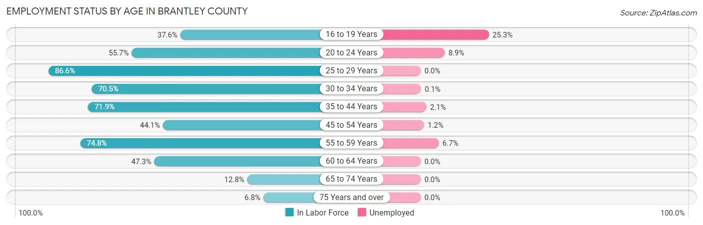Employment Status by Age in Brantley County