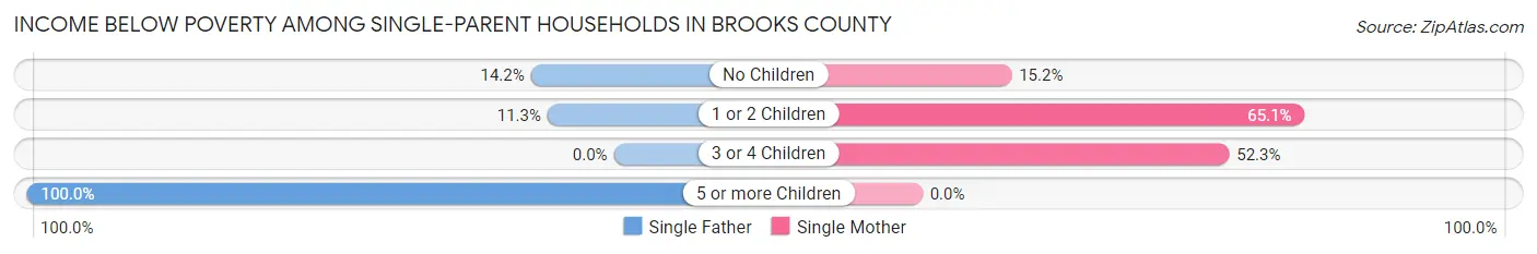 Income Below Poverty Among Single-Parent Households in Brooks County