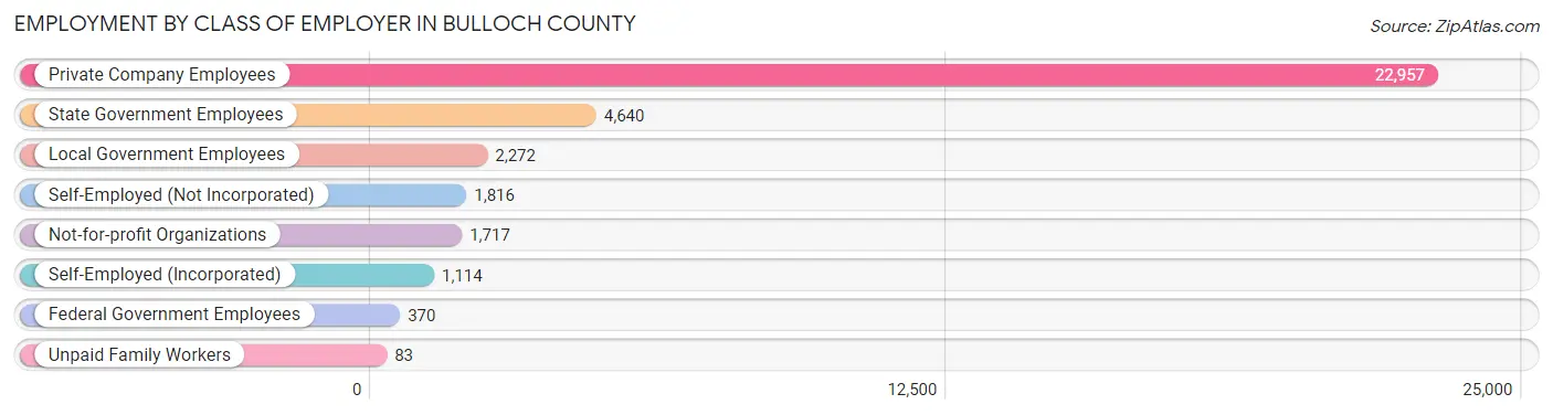 Employment by Class of Employer in Bulloch County