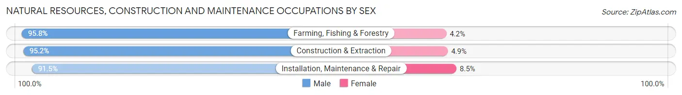 Natural Resources, Construction and Maintenance Occupations by Sex in Candler County