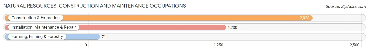 Natural Resources, Construction and Maintenance Occupations in Catoosa County