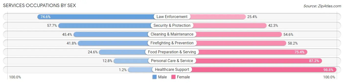 Services Occupations by Sex in Chattooga County