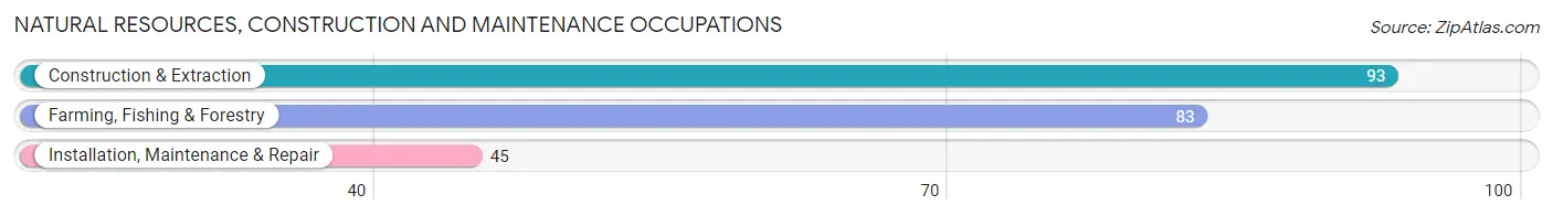 Natural Resources, Construction and Maintenance Occupations in Clay County