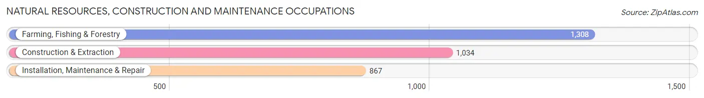 Natural Resources, Construction and Maintenance Occupations in Colquitt County