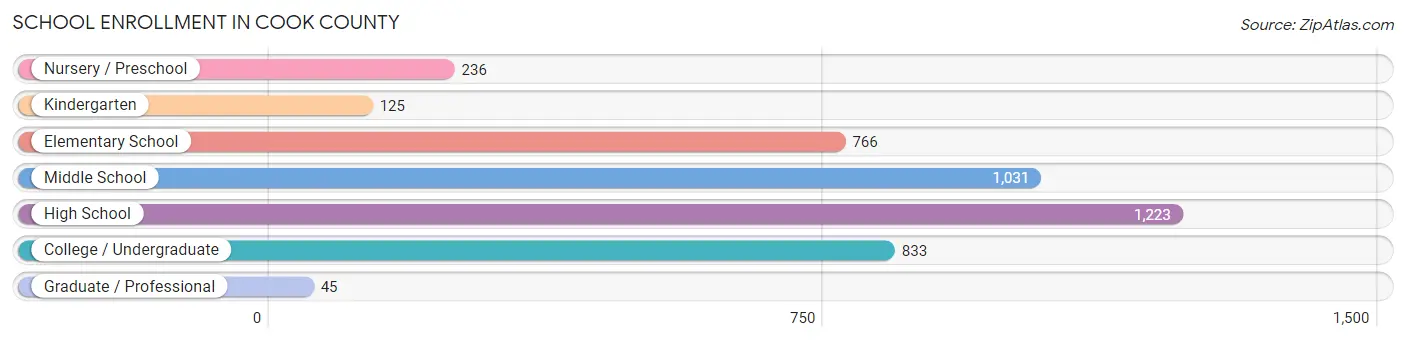 School Enrollment in Cook County