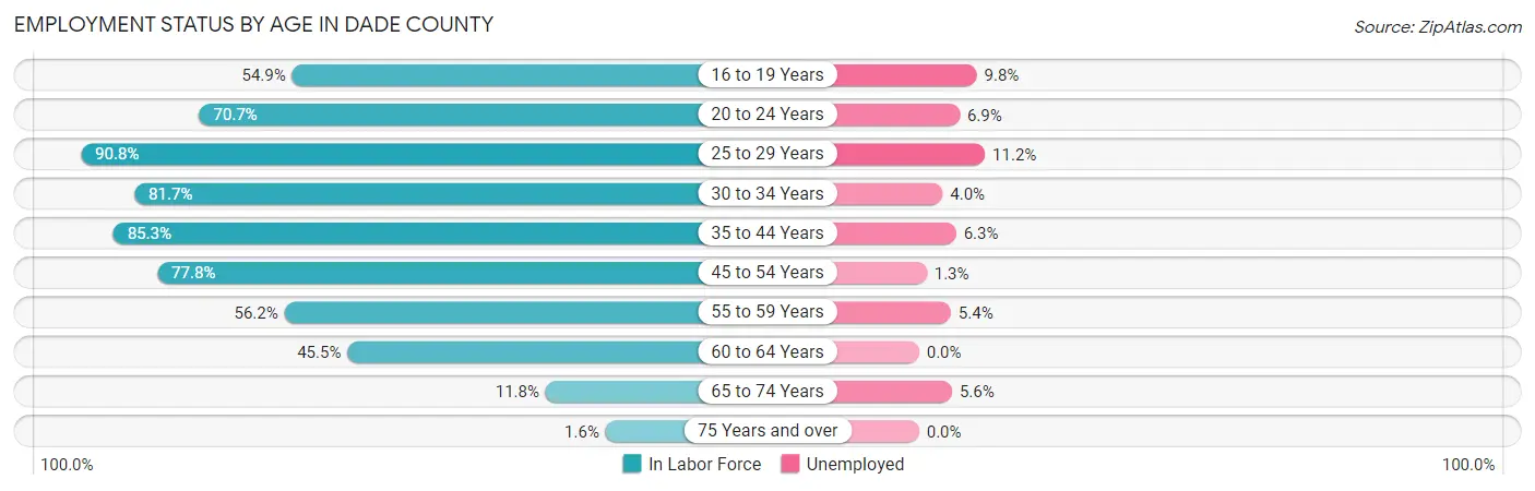 Employment Status by Age in Dade County