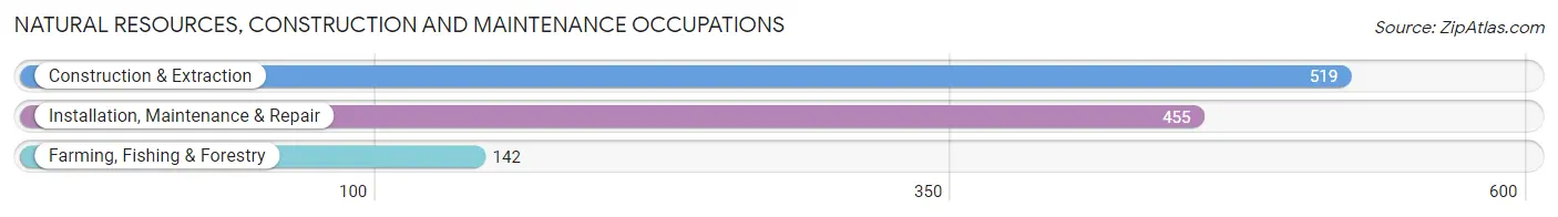 Natural Resources, Construction and Maintenance Occupations in Decatur County