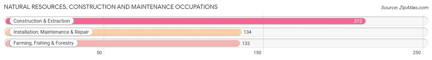 Natural Resources, Construction and Maintenance Occupations in Early County