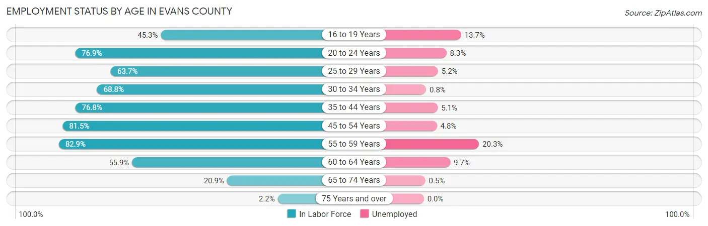 Employment Status by Age in Evans County