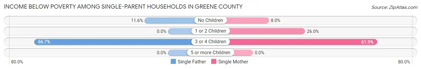 Income Below Poverty Among Single-Parent Households in Greene County