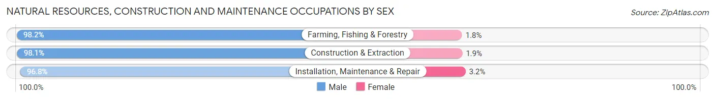 Natural Resources, Construction and Maintenance Occupations by Sex in Habersham County