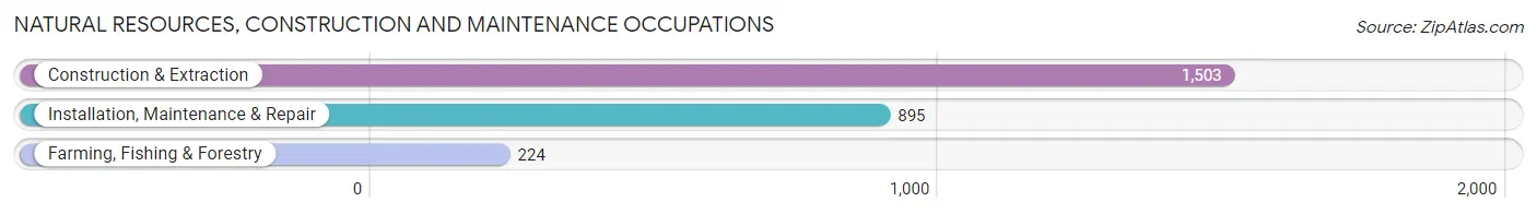 Natural Resources, Construction and Maintenance Occupations in Habersham County