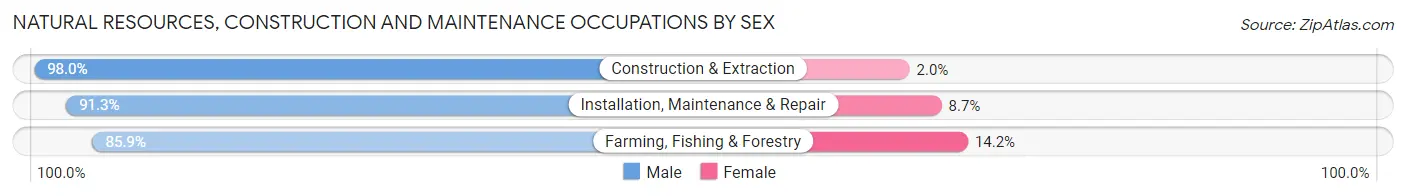 Natural Resources, Construction and Maintenance Occupations by Sex in Haralson County
