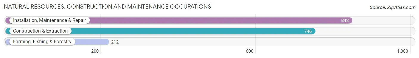 Natural Resources, Construction and Maintenance Occupations in Haralson County