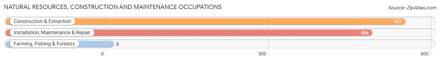 Natural Resources, Construction and Maintenance Occupations in Heard County