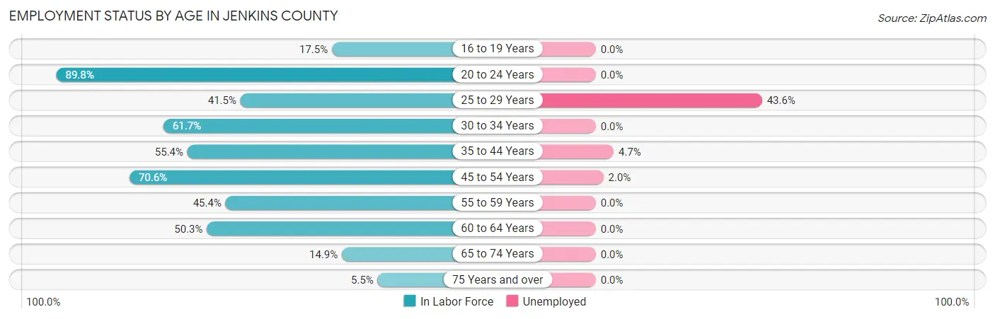 Employment Status by Age in Jenkins County