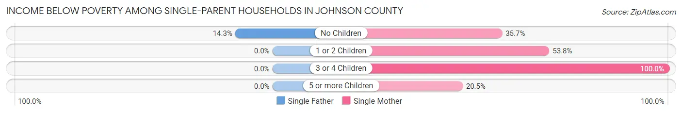 Income Below Poverty Among Single-Parent Households in Johnson County