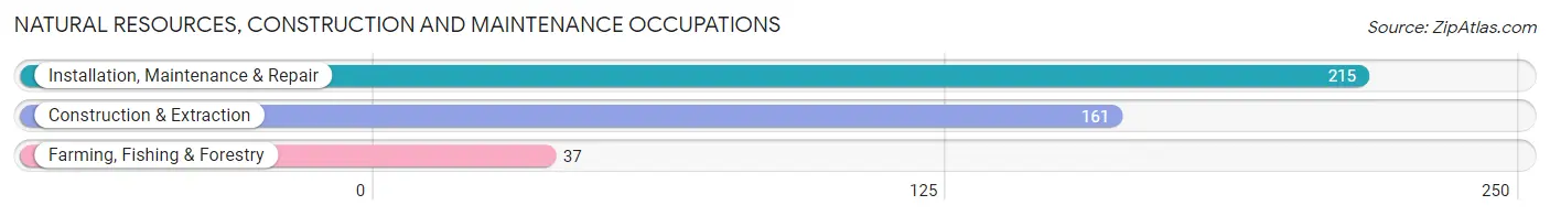 Natural Resources, Construction and Maintenance Occupations in Lanier County