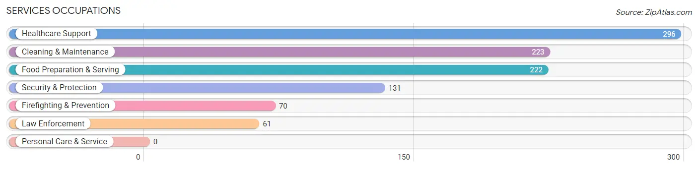 Services Occupations in Lanier County