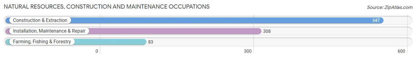 Natural Resources, Construction and Maintenance Occupations in Long County