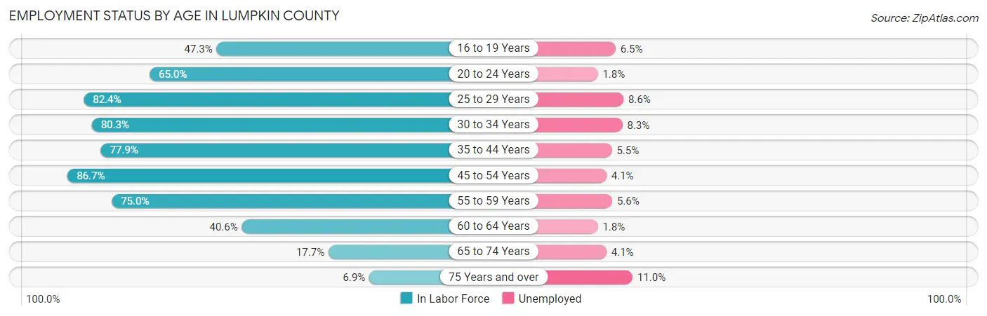 Employment Status by Age in Lumpkin County