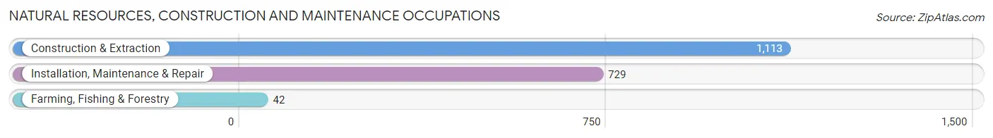 Natural Resources, Construction and Maintenance Occupations in Madison County