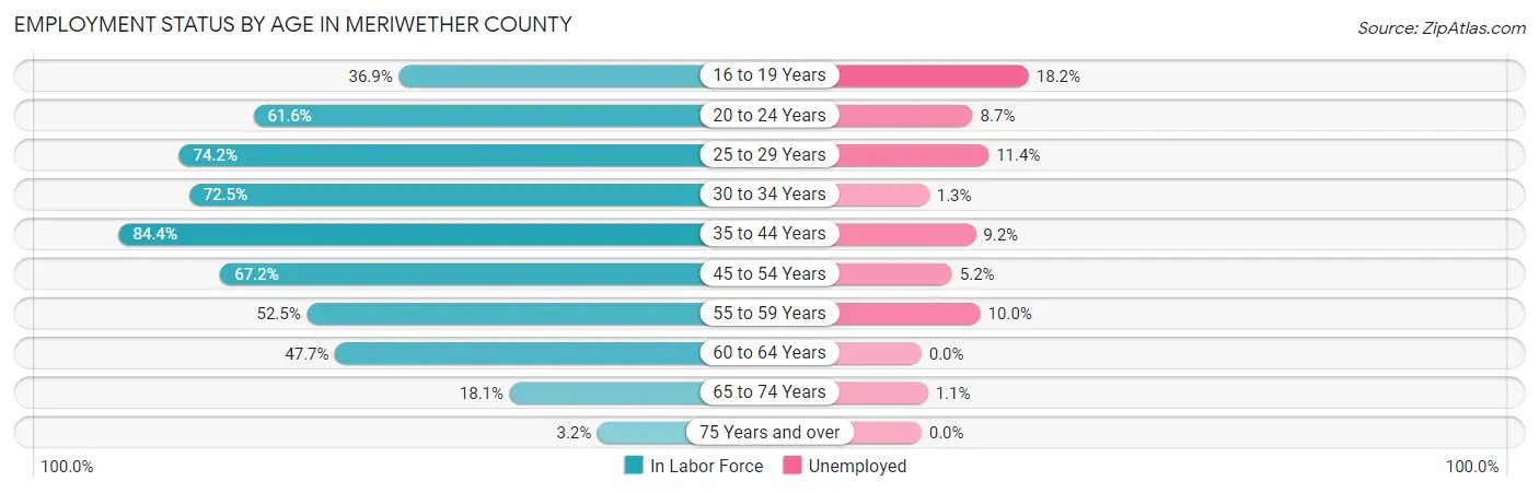 Employment Status by Age in Meriwether County