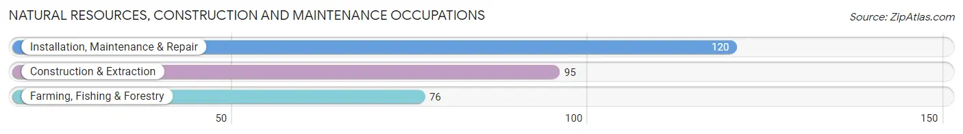 Natural Resources, Construction and Maintenance Occupations in Miller County