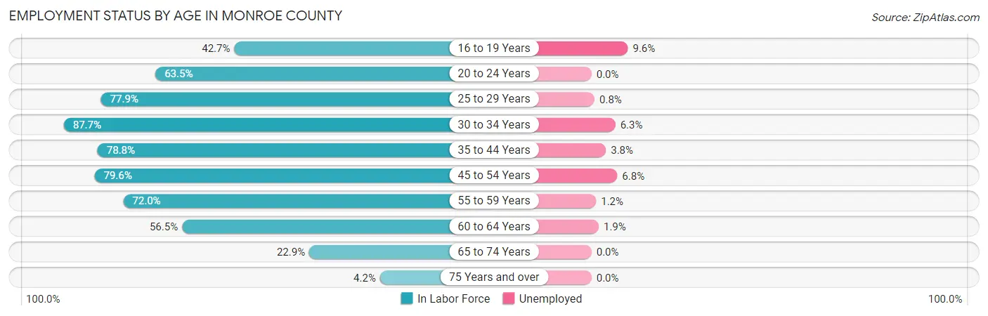 Employment Status by Age in Monroe County