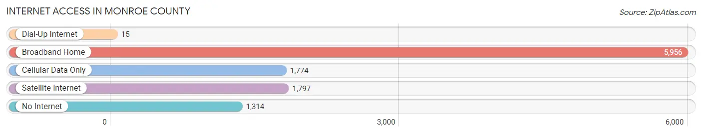 Internet Access in Monroe County